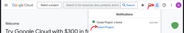 Select created project